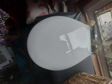 Photo of free Toilet Lid New (Wycombe HP13) #2