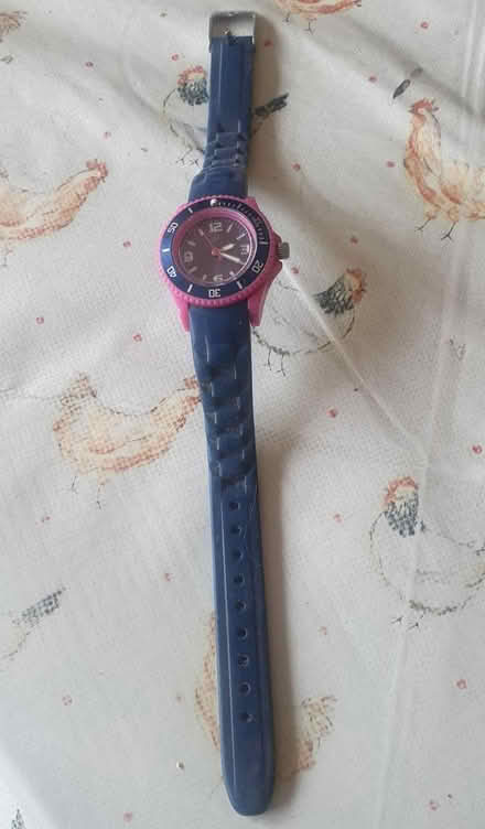 Photo of free Girls Watch (Croydon, Shirley) #2