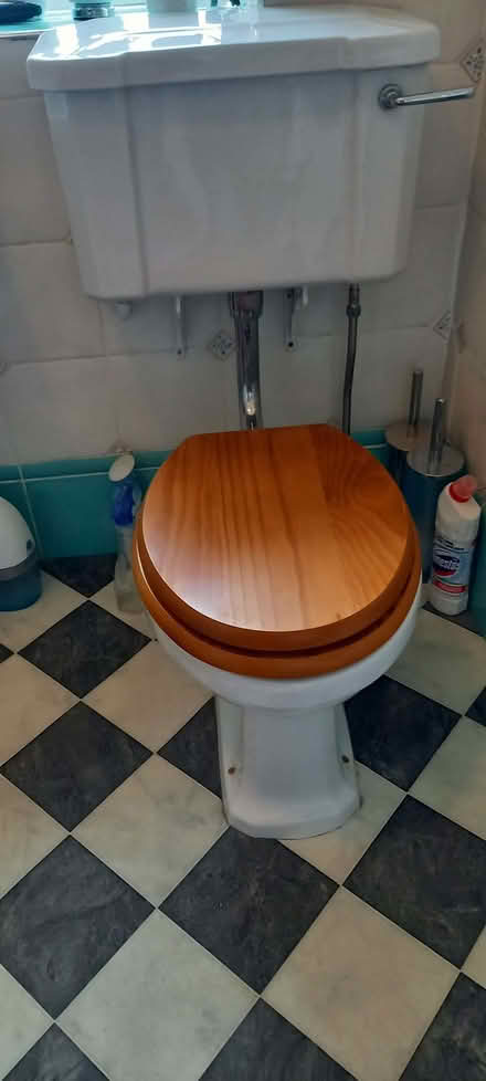 Photo of free Toilet (Ashton Green BN8) #1