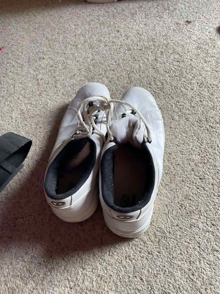 Photo of free Two bowling balls in single bags, plus bowling shoes (New Malden KT3) #1