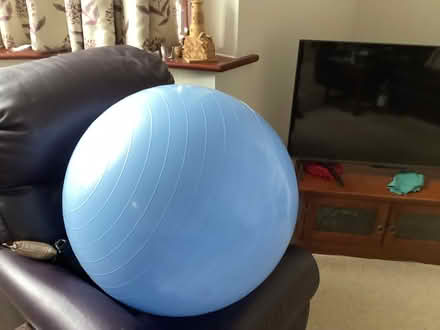 Photo of free Gyn exercise ball (Banstead SM7) #2