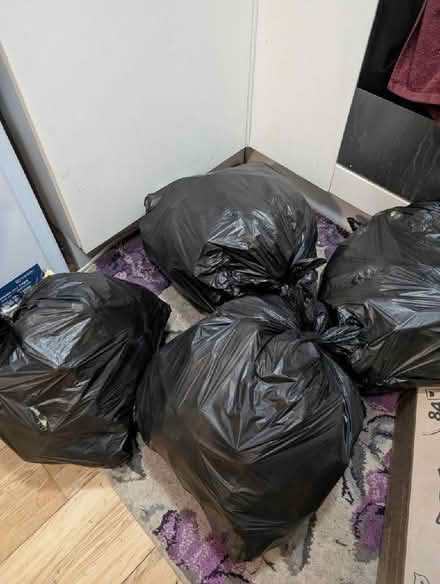 Photo of free Sponge foam for use of fillers (Colchester CO1) #1