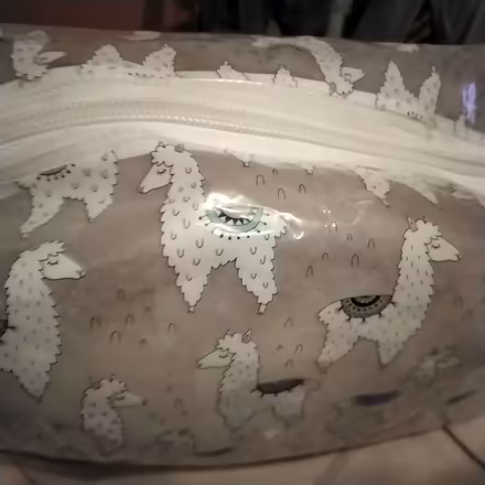Photo of free ladies plastic makeup bags (Marton Bank FY3) #3