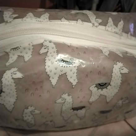 Photo of free ladies plastic makeup bags (Marton Bank FY3) #3