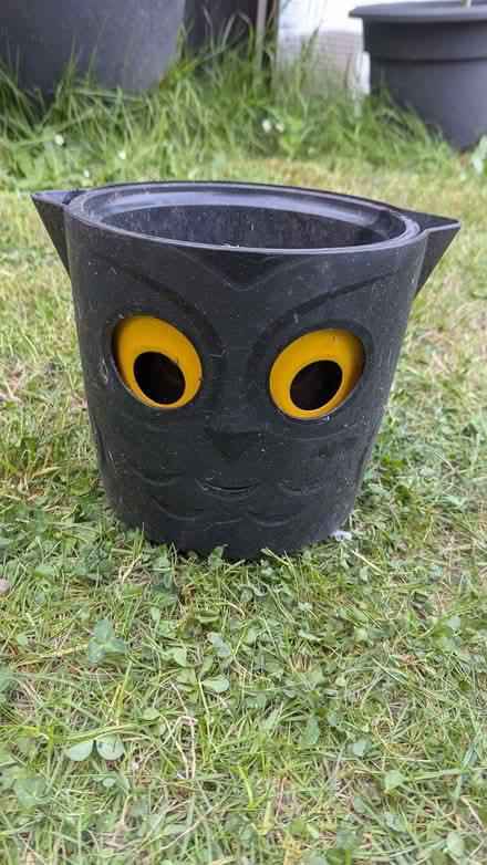 Photo of free Owl plant pot with water guage eyes (Malvern Link WR14) #1
