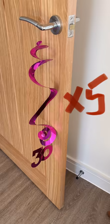 Photo of free 30th birthday decorations (Dartington TQ9) #4