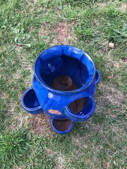 Photo of free Strawberry or herb planter (Liphook) #1