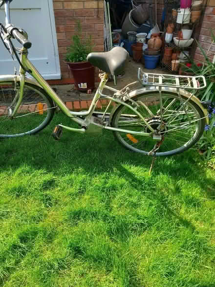 Photo of free Adult bicycle (Northcourt OX14) #1
