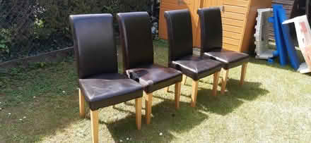 Photo of free Dining chairs (Headington OX3) #1