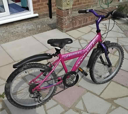 Photo of free 16" Probike "Crystal" (Asheridge Rd area HP5) #2