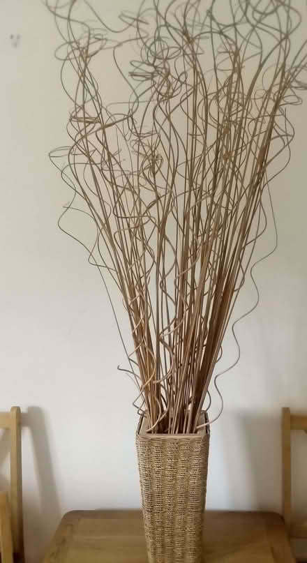 Photo of free Floor standing pot and twig arrangement (Fearnhead WA2) #1