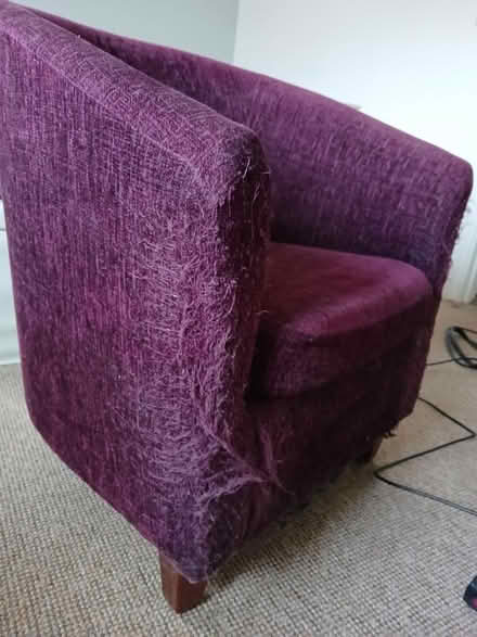 Photo of free Dunelm tub chair (St.Leonards on sea, TN38) #4