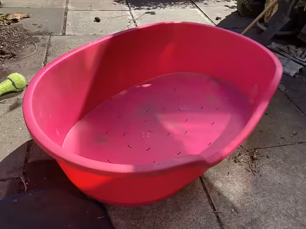 Photo of free Dog bed (Bradford BD2) #1