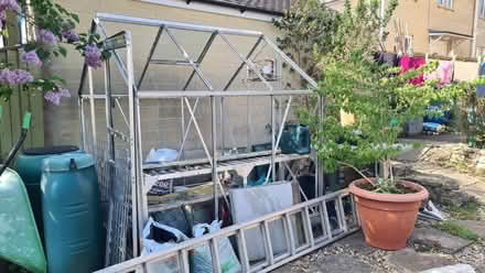Photo of free 6x6ft greenhouse (Weston Park) #1
