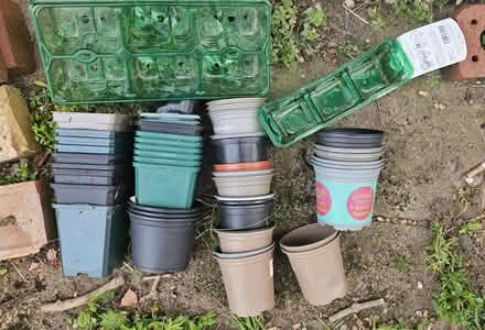Photo of free Many small plant pots (Hounslow TW3) #1