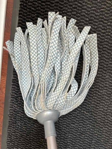 Photo of free Mop (Twickenham TW2) #2