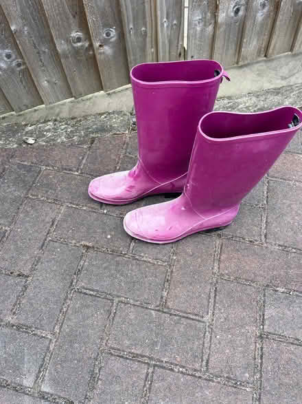 Photo of free Ladies wellies (Harrogate HG2) #1