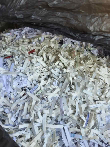 Photo of free Shredded paper for pet bedding (Stroud central) #2