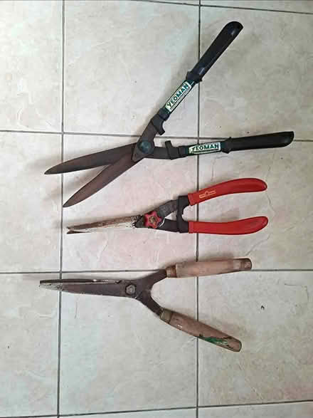 Photo of Garden shears (Swindon SN3) #1