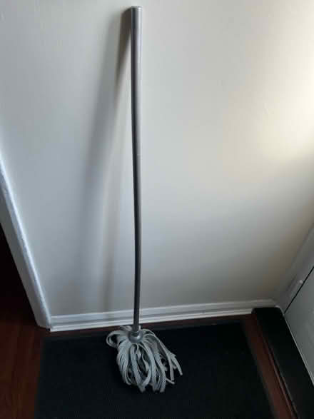 Photo of free Mop (Twickenham TW2) #1