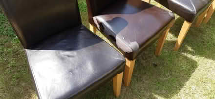 Photo of free Dining chairs (Headington OX3) #2
