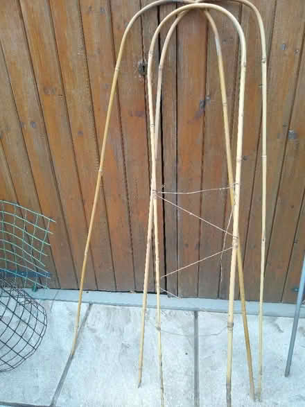 Photo of free 3 arched bamboos (Newtown RG1) #1