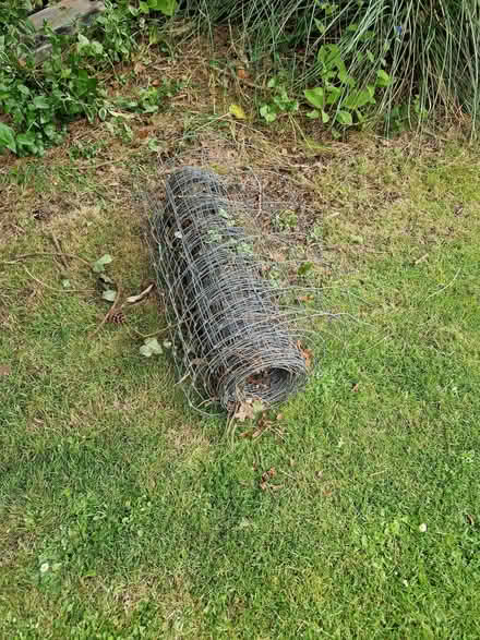 Photo of free Wire fence (Sunningdale SL5) #1