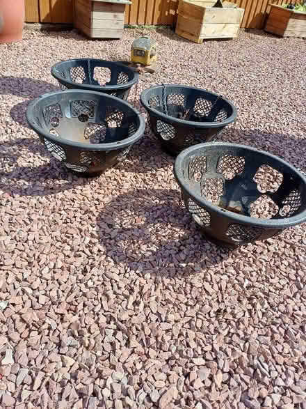 Photo of free Hanging baskets. (Brookside TF3) #1