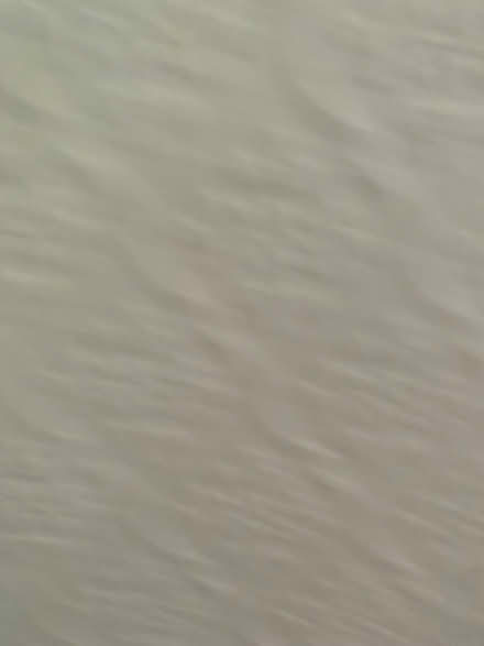 Photo of free Cot bed mattress (L19) #2