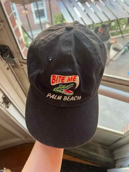 Photo of free baseball hat from florida (Spring Hill) #1