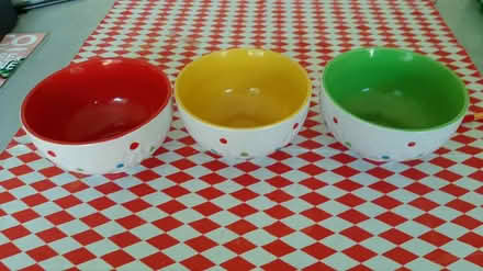 Photo of free 3 spotted bowls (peacehaven) #2