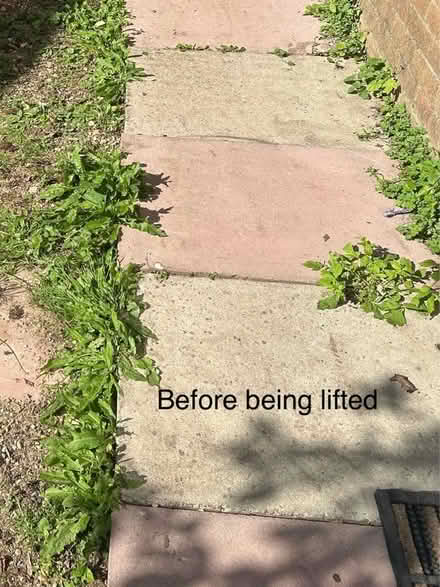 Photo of free Paving slabs (Black Dam RG21) #3