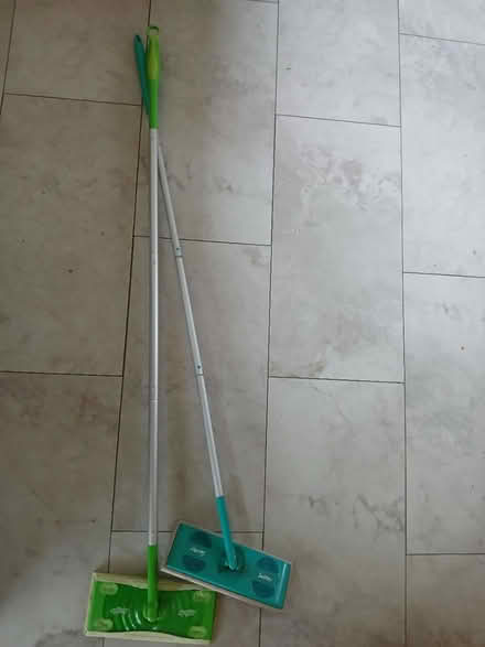 Photo of free Mops (Delridge) #1