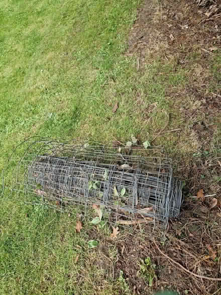 Photo of free Wire fence (Sunningdale SL5) #2