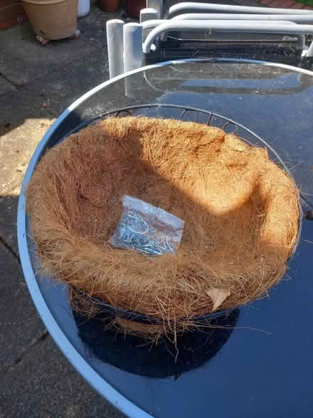 Photo of free Hanging basket (Northcourt OX14) #1