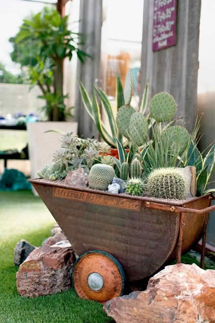 Photo of Interesting planters (New Brighton, CH45) #2