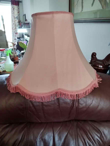 Photo of free Big Pink Lampshade (Bratton) #1