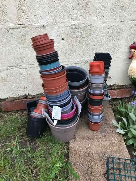 Photo of free Plastic plant pots (Ebley GL5) #1