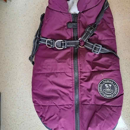 Photo of free Dog coat for dog less than 14kg (Bowerham LA1) #2