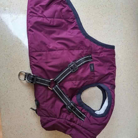 Photo of free Dog coat for dog less than 14kg (Bowerham LA1) #1