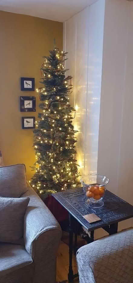 Photo of free 6ft (approx) Christmas tree. (Lewes BN7) #1