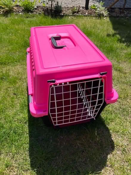 Photo of free Plastic cat carrier (Whitemans Green RH17) #1