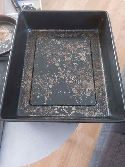 Photo of free Succulents tray? Oven Trays (Hanworth TW13) #2