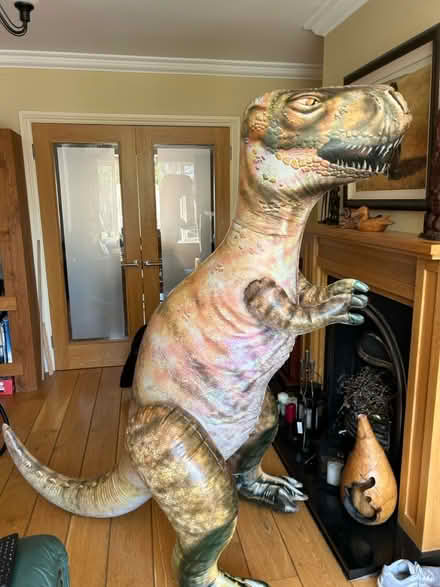 Photo of free Large inflatable dinosaur (The Gallops, Leopardstown) #1