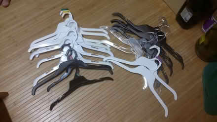 Photo of free Plastic Hangers (199/Jamestown Road) #2