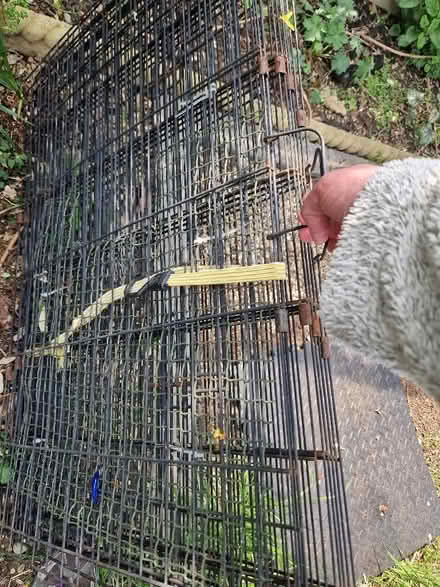 Photo of free Octagonal pet run (Up Hatherley GL51) #2