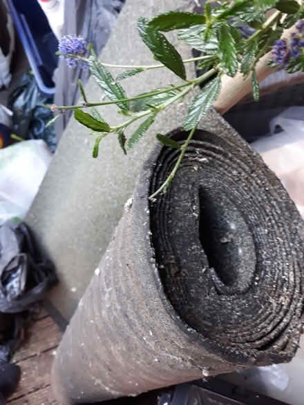 Photo of free Roof felting for shed (Hanover BN2) #1