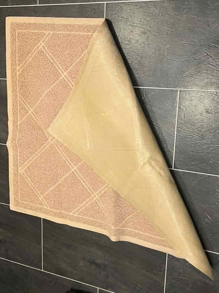 Photo of free Beige Matt (Twickenham TW2) #2