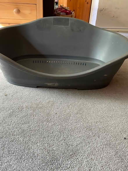 Photo of free Dog bed (Ockley) #1