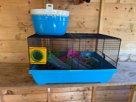 Photo of free Hamster cage & tubes (Loughton MK5) #1